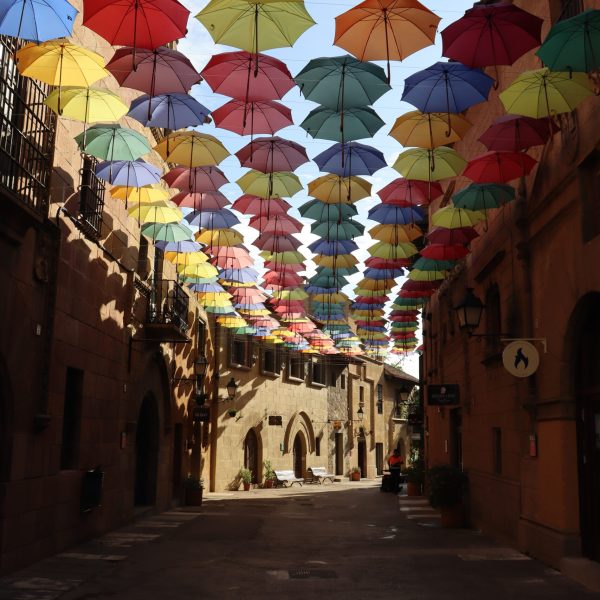 IMG_4301